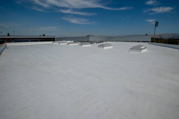 Best Roof Maintenance and Cleaning  in Saltville, VA